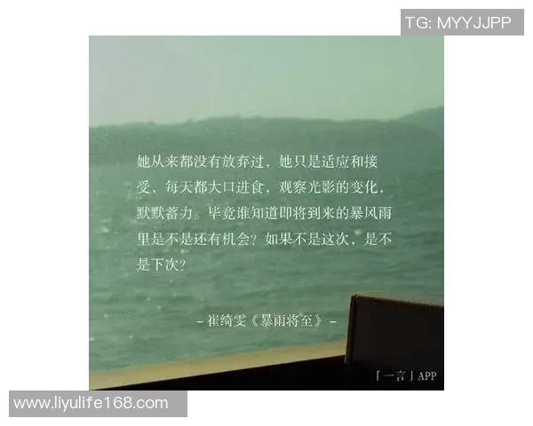 何思雨：在纷繁世界中寻找内心宁静与真实自我的旅程