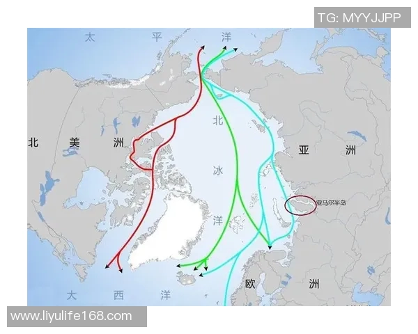 亚马尔地区的能源战略与全球气候变化的互动分析与展望